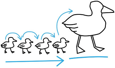 What is duckling discipleship?